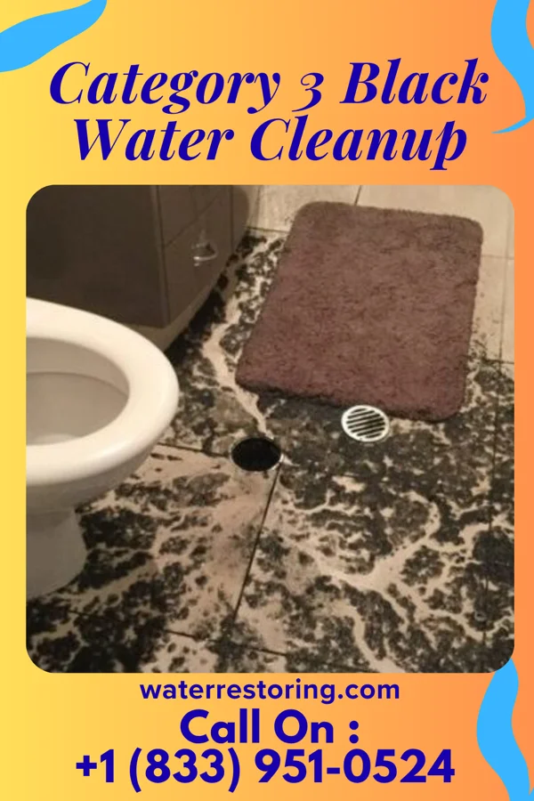 Category 3 Black Water Cleanup in West Concord, MA