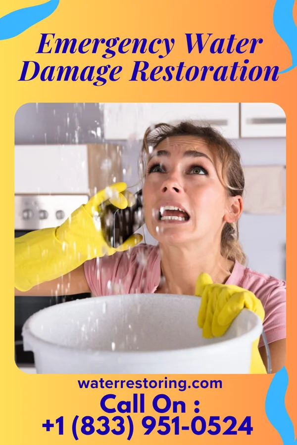 Emergency Water Damage Restoration in West Concord, MA
