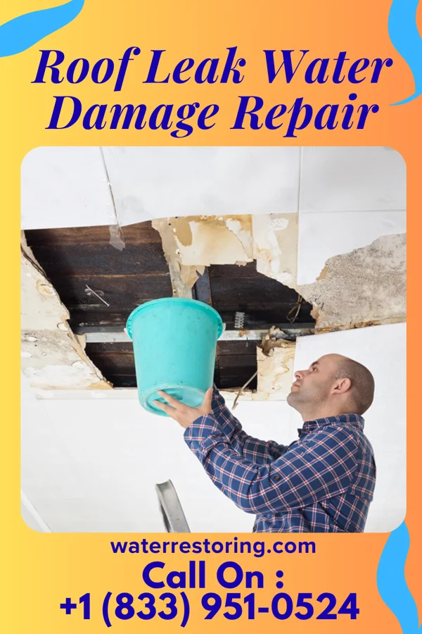 Roof Leak Water Damage Repair in West Concord, MA